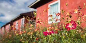Red homes in the Philippines with flowers in front of it.